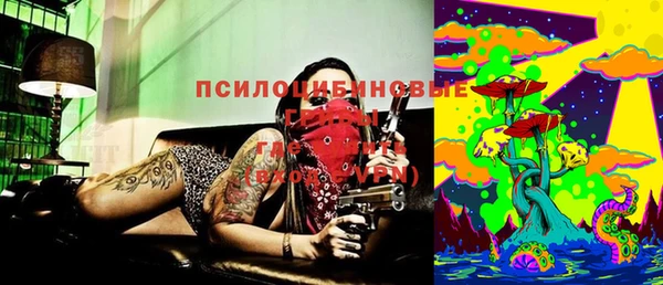 стаф Абдулино